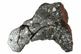 Polished Stony-Iron Mesosiderite Meteorite ( g) - Chile #242903-1